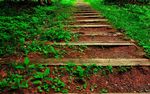 山梯