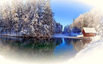 唯美雪景