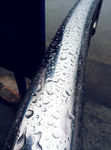 水珠 露水