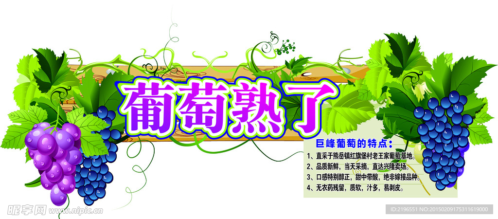 葡萄熟了