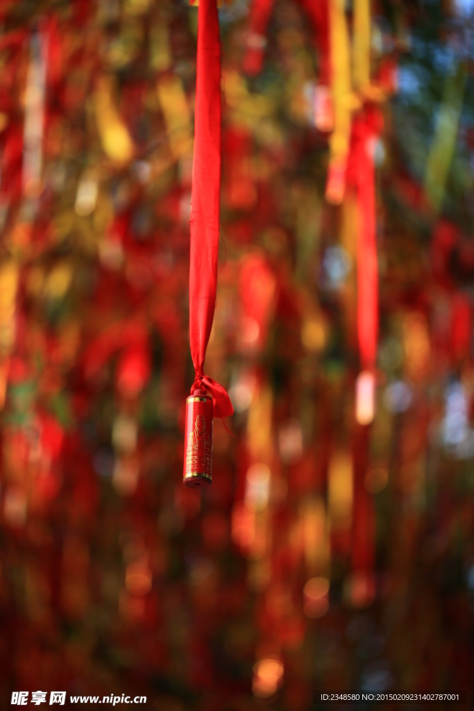 许愿树
