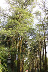 孙中山纪念馆