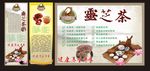 灵芝茶 展架