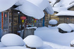 木屋白雪