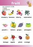 英语水果词汇挂图