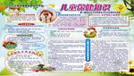 健康教育宣传栏