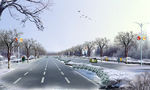 马路雪景景观