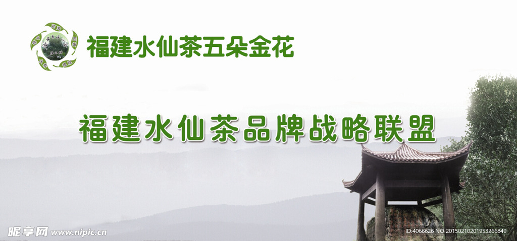 福建漳州水仙联盟茶企