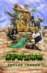 保护野生动物