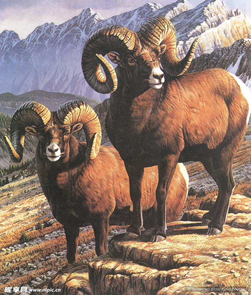 羊年油画
