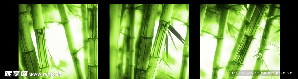 竹子无框画