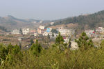 新农村