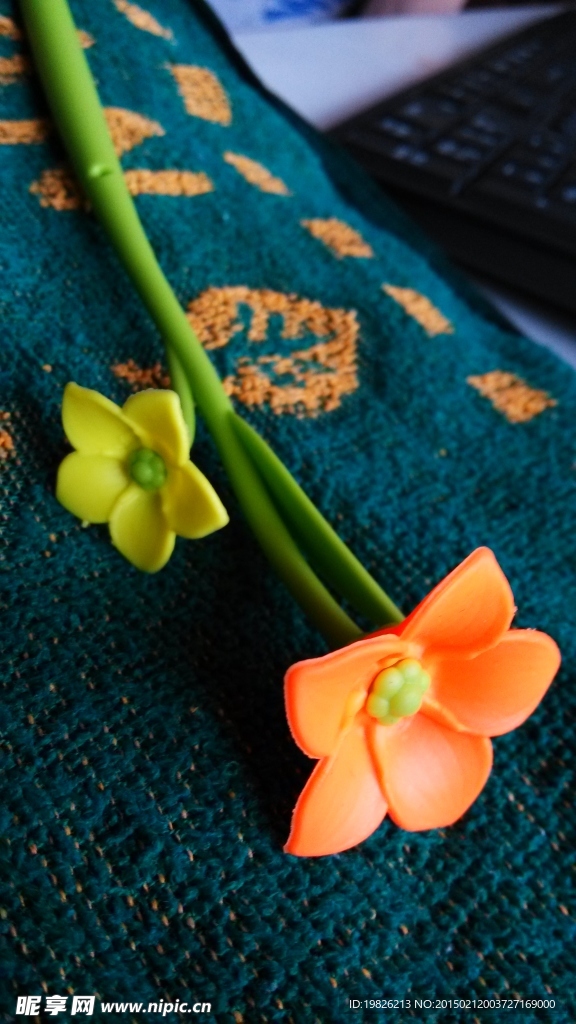 小花 鲜花