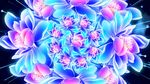 富贵花开LED
