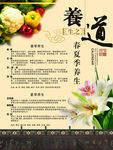 养生之道广告宣传