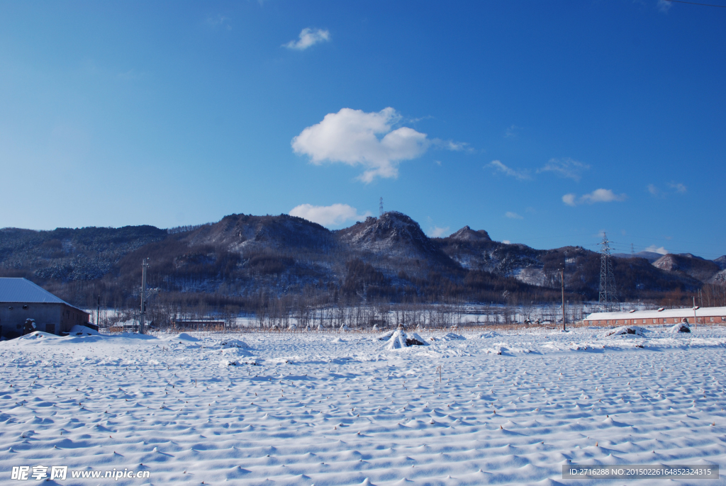 冬季雪景