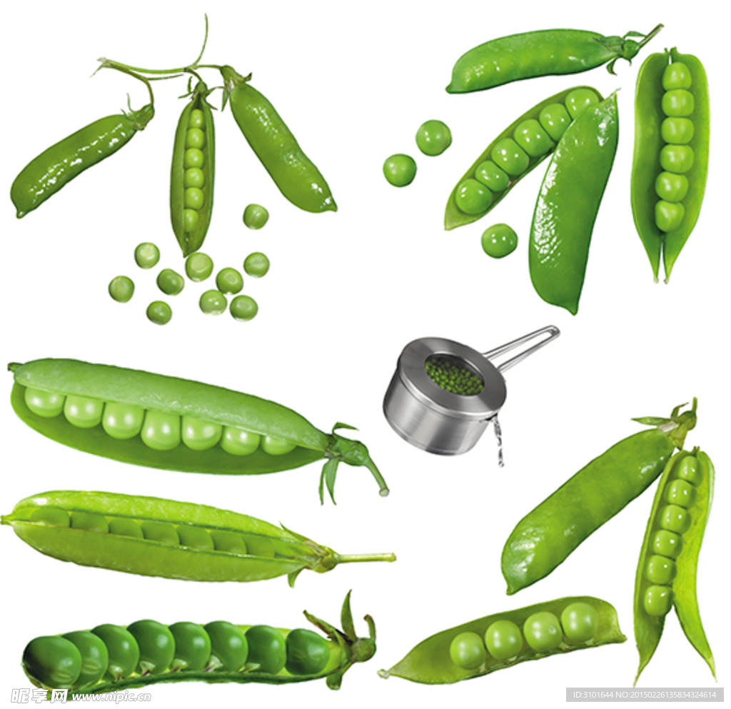 豌豆素材