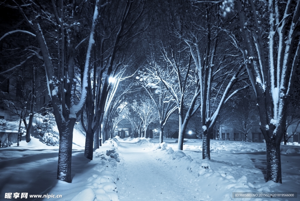 冬季夜景