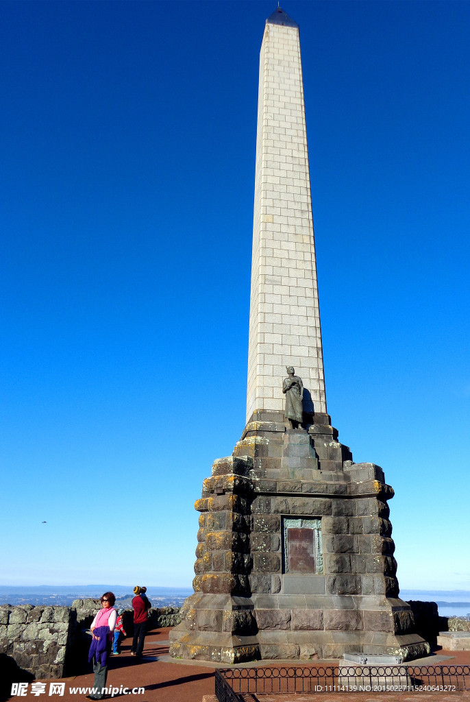 新西兰树山风光