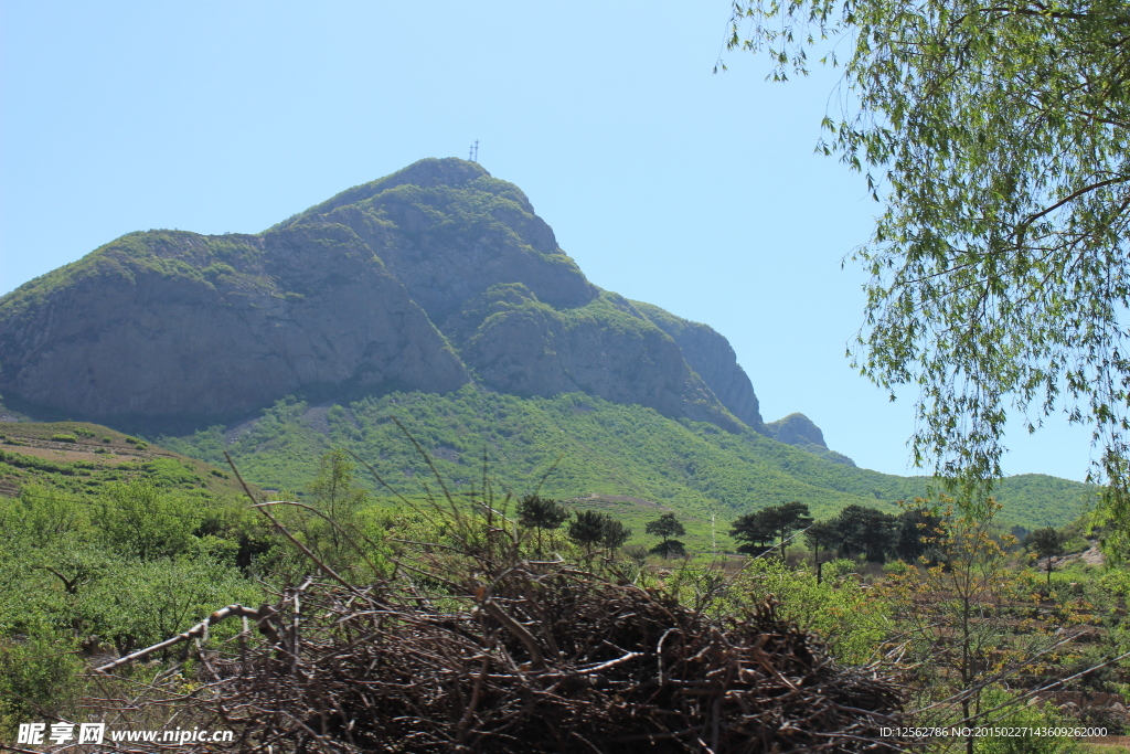 青蛙山