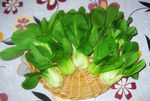 青菜