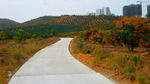 山间小路