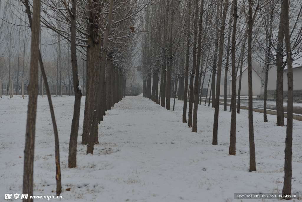 雪世界滑雪场