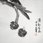 植物图