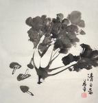 清白图
