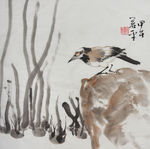 花鸟图
