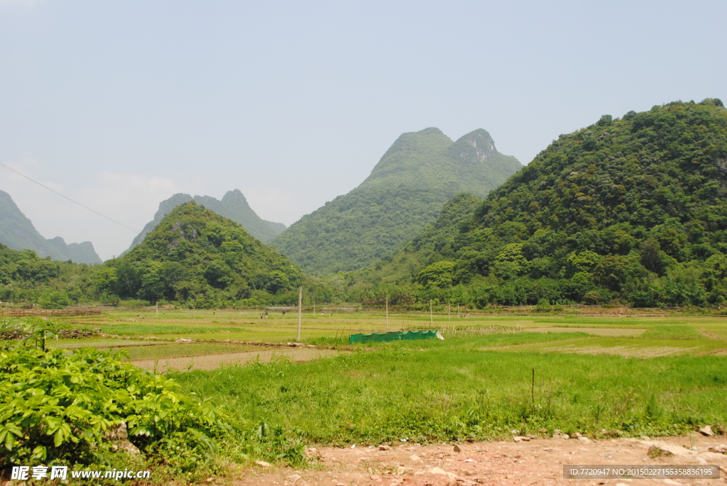翠绿山间