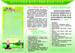 汗蒸折页