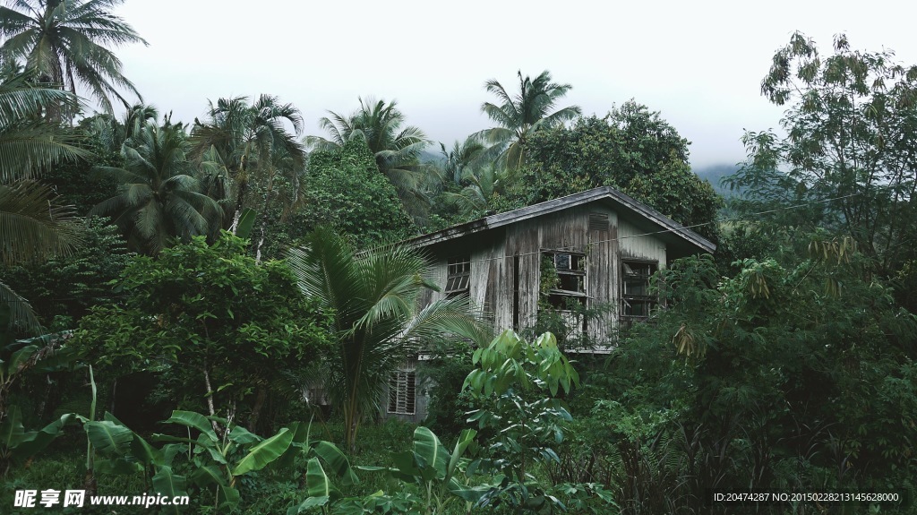 林中小屋