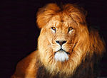 狮子王 油画