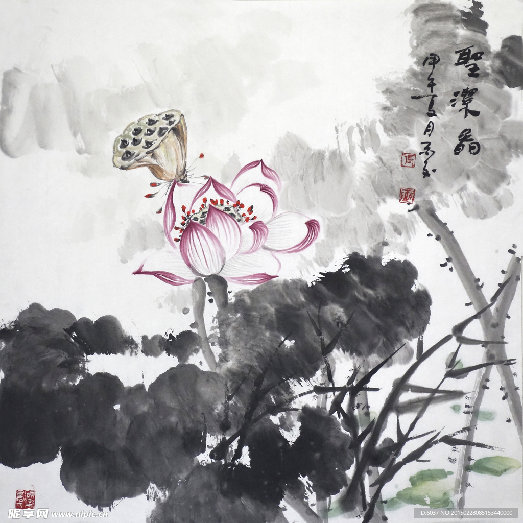 圣洁图