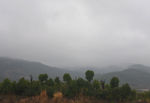 雨中的山景
