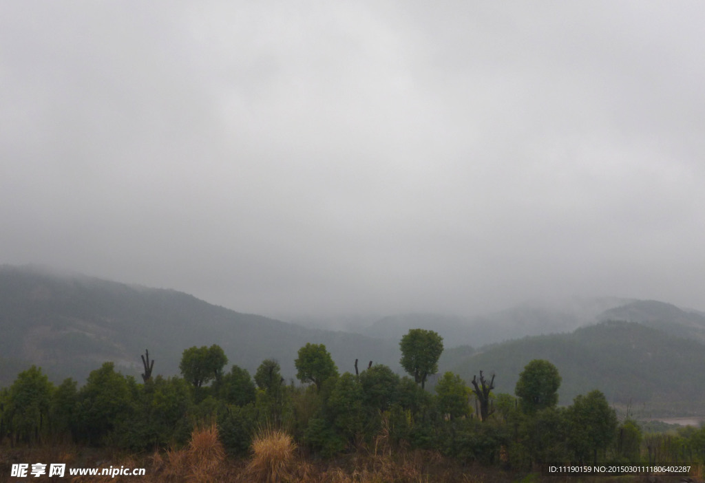 雨中的山景