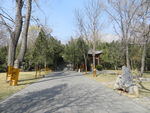 嵩阳书院景色