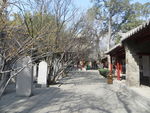 嵩阳书院