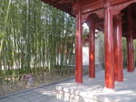 嵩阳书院内景