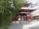 嵩阳书院 御碑亭