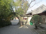 嵩阳书院一景