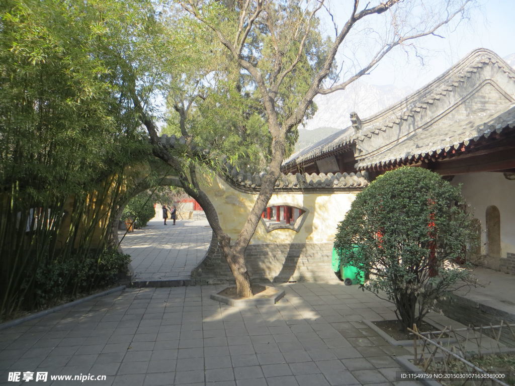 嵩阳书院一景