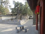 嵩阳书院大将军