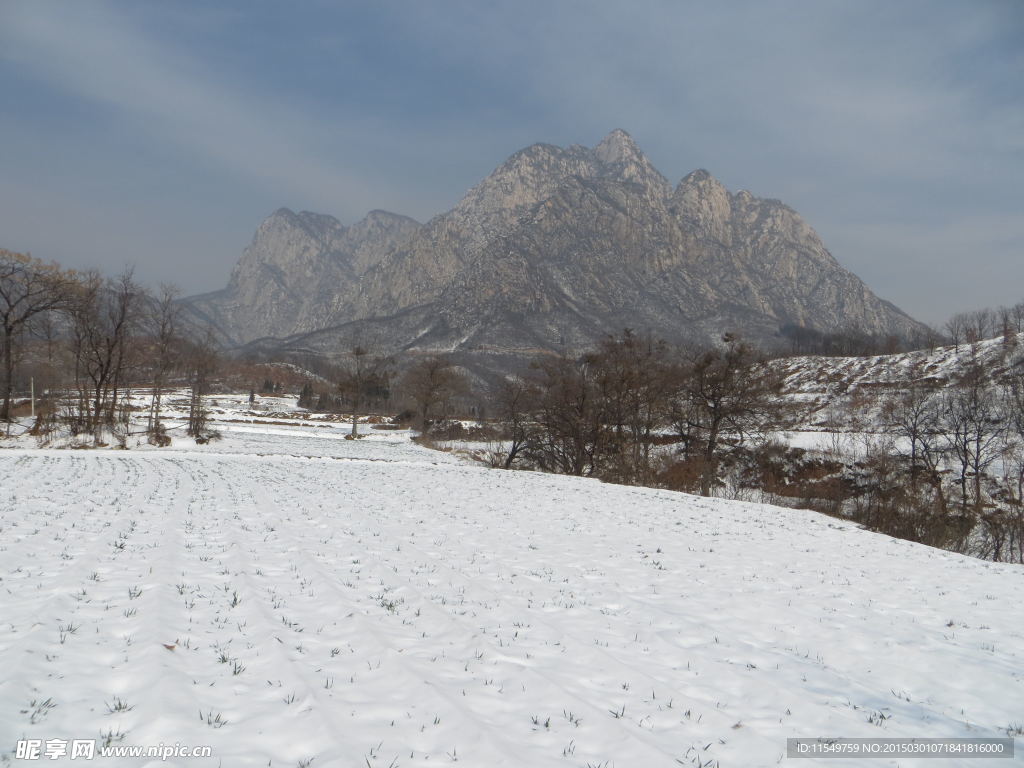 少室晴雪