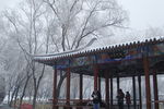 雪景