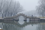 雪景