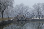 雪景