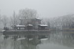 雪景