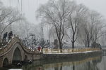 雪景